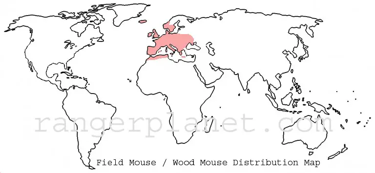 field mouse - wood mouse - distribution map