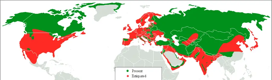 grey wolf distribution map