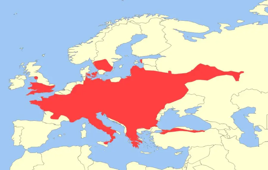 Hazel dormouse distribution map