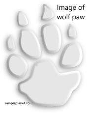wolf-paw-image