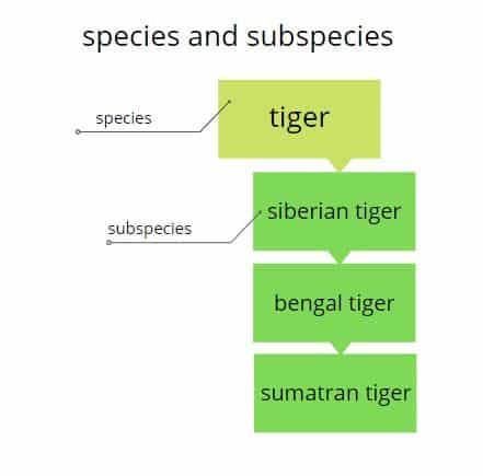 species and subspecies