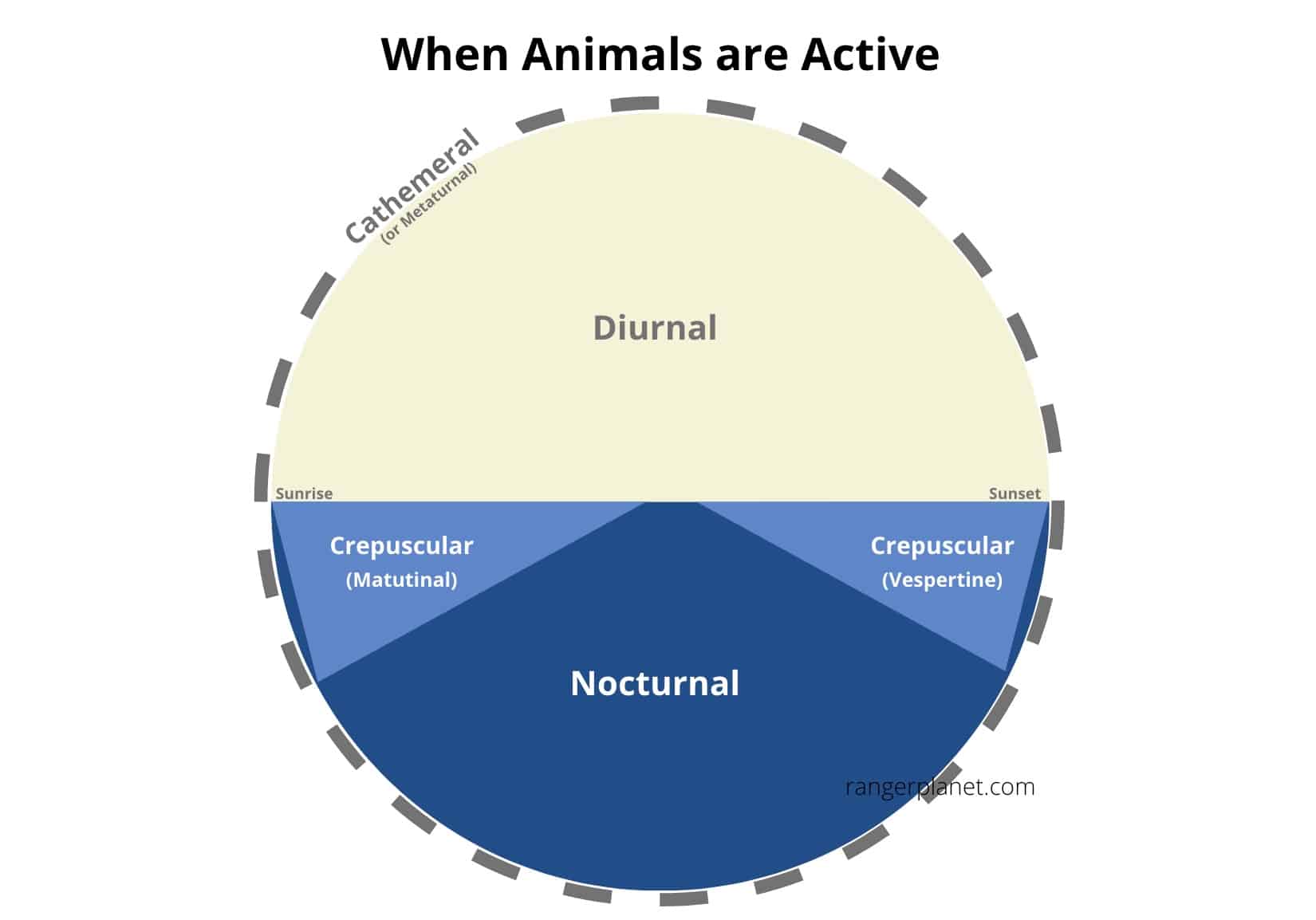 chart showing activity times over 24 hours