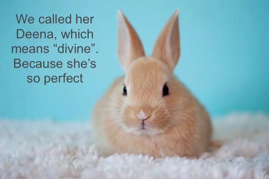 rabbit names - Deena because she's so well behaved