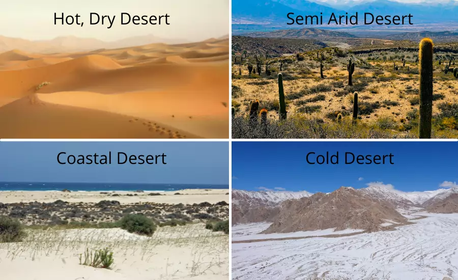 4 types of desert